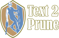 Text2Prune